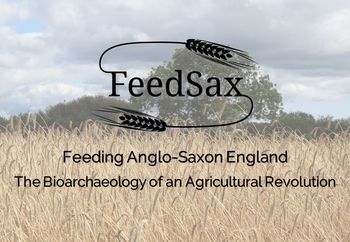 FeedSax project logo, copyright FeedSax